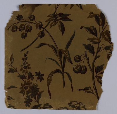 Sidewall -prøve, 1880–90 af Unknown